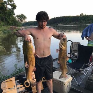 Meet your Posher, Collin